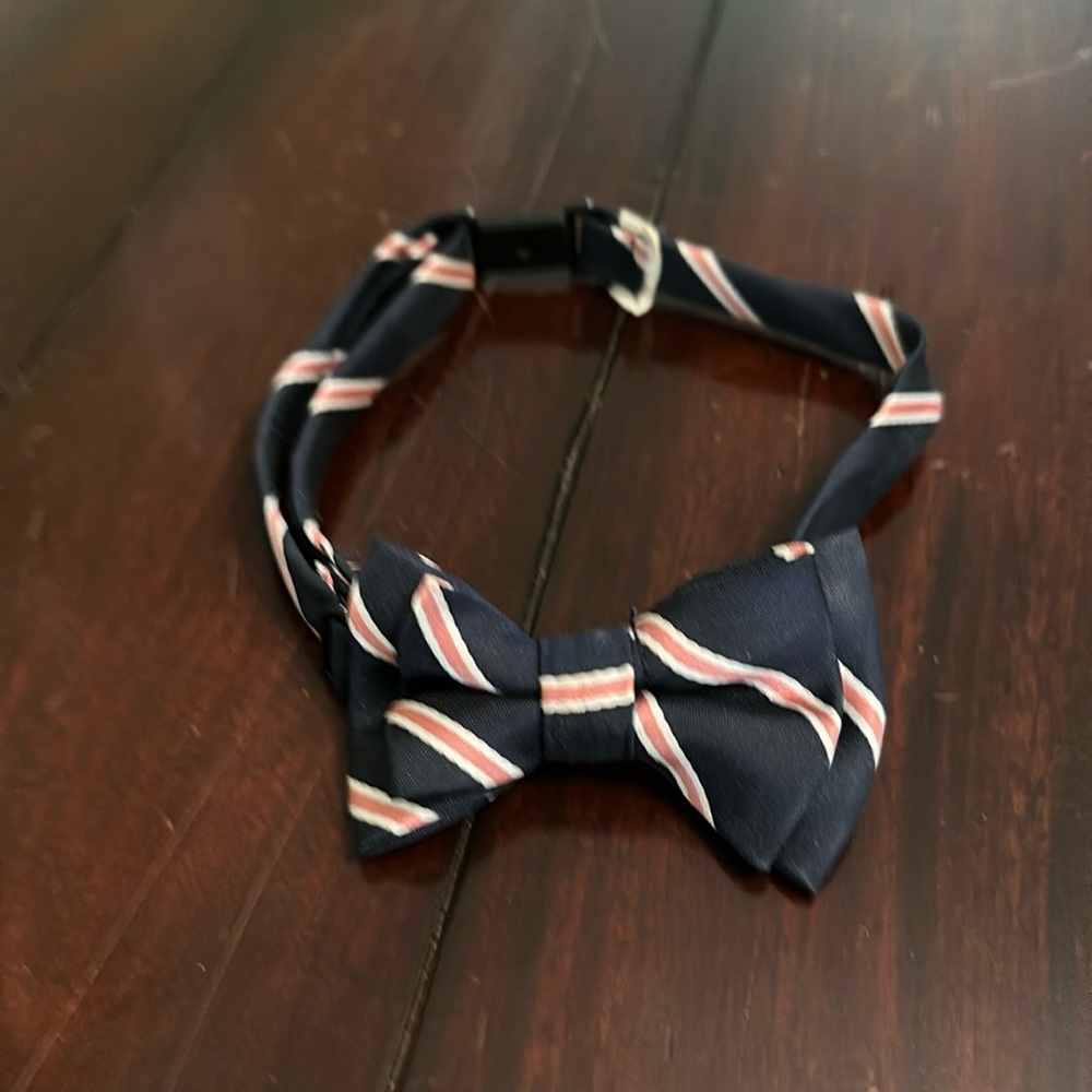 Little kids dressy wedding pictures bow tie